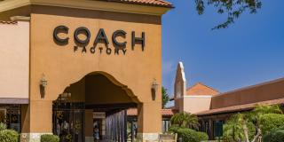 Amavi Aster Ridge Gallery 32