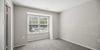 Steeplechase Gallery 23