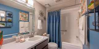 Canopy on Central Gallery 10