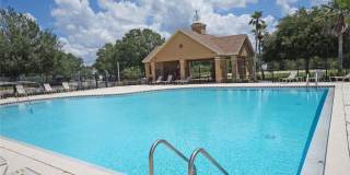9018 LAKE CHASE ISLAND Way 9018 LAKE CHASE ISLAND Way Gallery 35