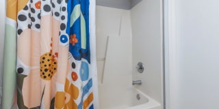 Windsor Place Gallery 43