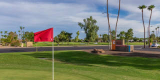 15138 W Las Brizas LN Gallery 25