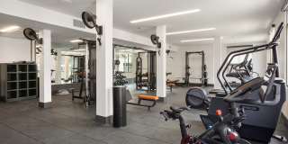 Alta Westwind Gallery 11