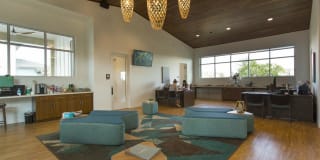 The Element Gallery 11