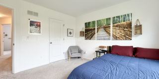 Modern 2020 Built Townhome Just Steps from Downtown Ferndale! Gallery 16