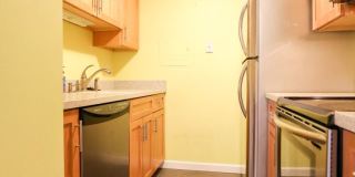 12-16 Ellery St. Gallery 5