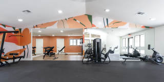 Citrus Place Gallery 38