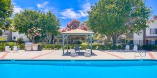 Las Ventanas Gallery 11