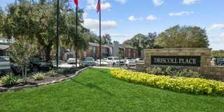 Driscoll Place Gallery 27