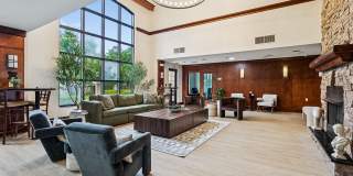 The Linden Gallery 10