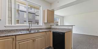 Logger Creek Gallery 7