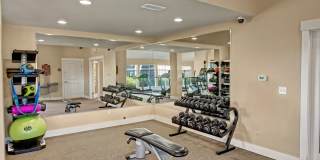 Canyon Ranch Gallery 9