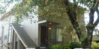 24214t Gallery 3