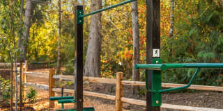 Alder Walk Gallery 6