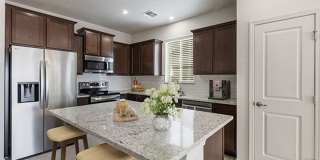 NEW CONSTRUCTION IN MESA DEL SOL Gallery 5