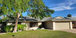 Tempe Treasure! Gallery 1