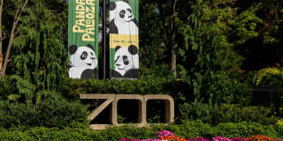 Sedgwick Gardens Gallery 30