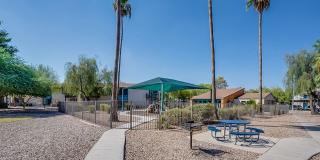 Aventerra at Dobson Ranch Gallery 48
