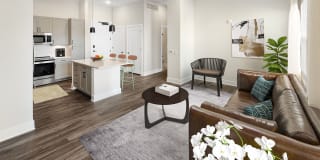 The Signal Gallery 14