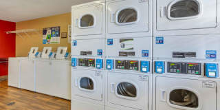 El Paso - Airport Gallery 13