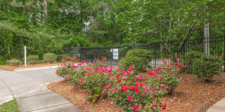 Birchwood Park Gallery 24