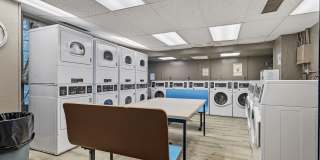 New King Edward Gallery 261