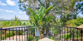 An Oasis of Calm In the Center of Riverside, CA Gallery 43