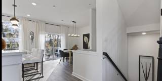 10030 Twin Fawn Trail Gallery 4
