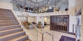 Museum Terrace Gallery 7