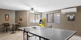 Furnished Basement home ready for move in NOW!!!  Corner lot, No HOA, lots of parking!!!  RV gates!!!  Luxurious backyard with pool and is your own Oasis in the City just out of the City!!!  Close to Lake Pleasant!!! Gallery 39