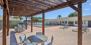 The Palms at Countryside Apartments Gallery 16