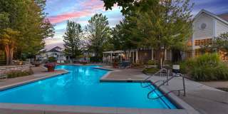 The Chapman Gallery 1