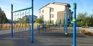 The Strand Gallery 42