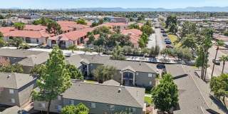 Palm Desert Gallery 35