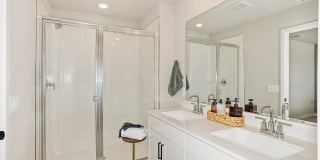 Coral Palms at Oakleaf Gallery 17