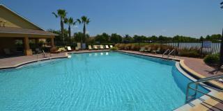 Beautiful 3/2 home near Lake Nona ~ Fenced In Yard ~ LVP & Tile Flooring ~ Community Pool! Gallery 4