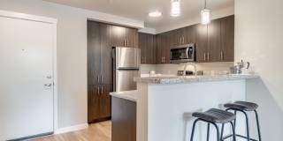 The Elwood at Taralon Gallery 41