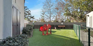 Tierra Palms Gallery 102