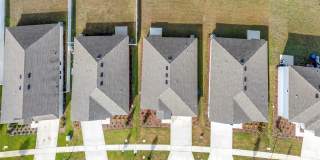 275 PUMA LOOP Gallery 35