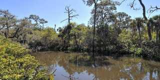 2746 ORCHID OAKS DRIVE Gallery 52