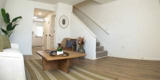 Mulberry Pond Gallery 16