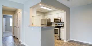 Rutland Place Gallery 4