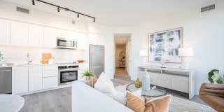 Collection 14 Gallery 3