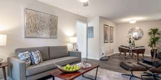 Belle Vista Gallery 1