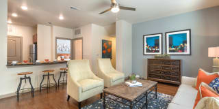 Olympus Waterford Gallery 21