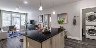 The Arnold Gallery 6