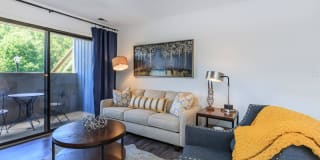 Walden Pond Gallery 29