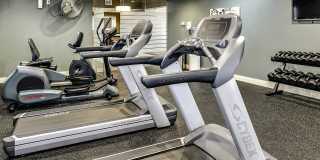 Lumen Heights Gallery 37