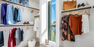 Aster Aster Gallery 29