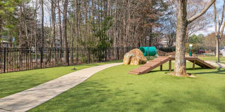 Solano at Chapel Hill Gallery 3